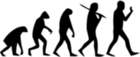 follow the line to figure the form